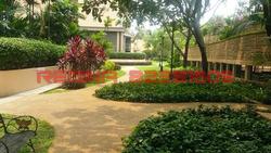 Thomson 800 (D11), Condominium #104718652